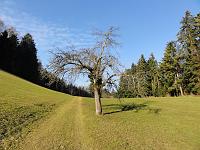  10. März 2012 - auf einer Samstagmorgenwanderung zur Landmark